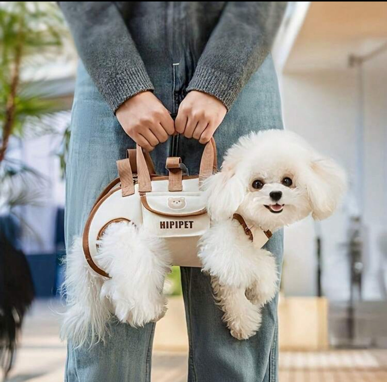 Cute Dog Backpack - Portable, Breathable Traction Backpack With Adjustable Straps For Cats And Dogs, Crossbody Or Shoulder Carry, Pet Supplies | Stylish Dog Gear Cat Carrier Cat Backpack Bike Trailer