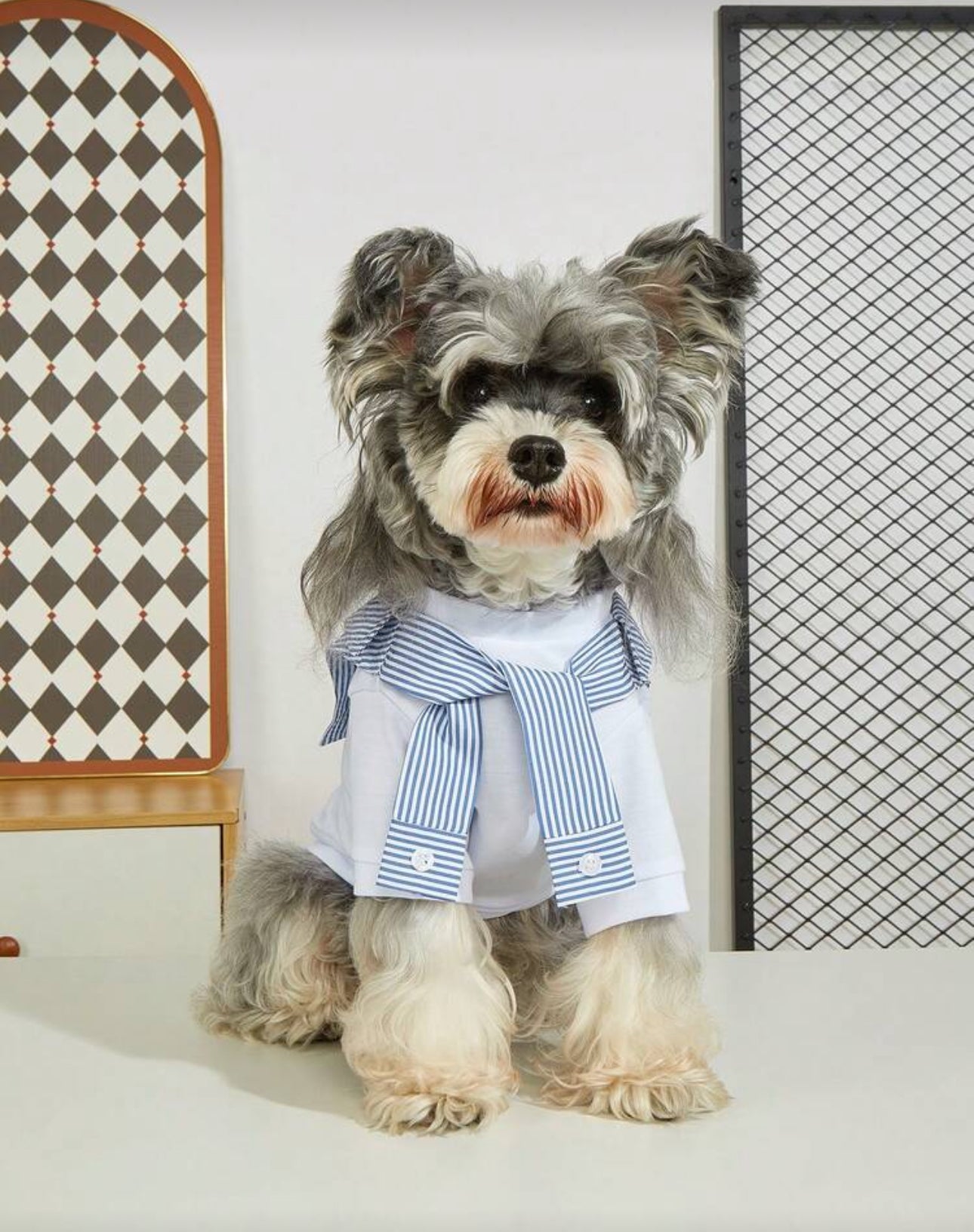 Pet Casual Fashion Spring/Summer 2 In 1 Elastic Pet Vest