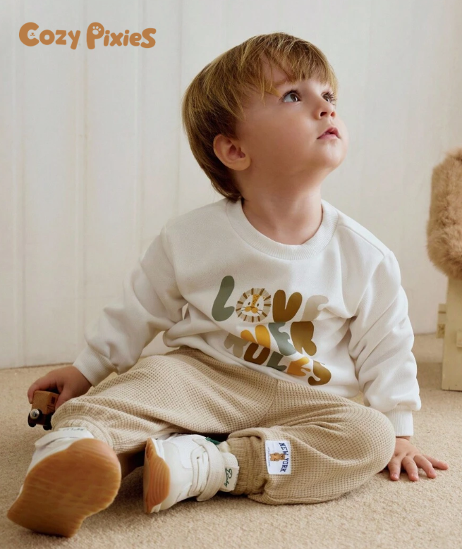 Cozy Pixies Boys' 2-Piece Crew Neck Knit Sweater with Long Sleeves and Drawstring Waist Ankle-Length Pants Set