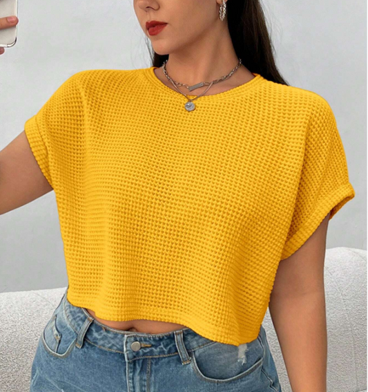 SHEIN EZwear Women's Plus Size Elegant Short Sleeve Beige Knit T-Shirt