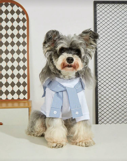 Pet Casual Fashion Spring/Summer 2 In 1 Elastic Pet Vest
