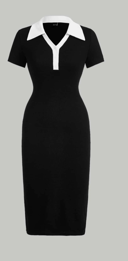SHEIN MOD Preppy Style Black And White Contrast Collar Button Front Dress