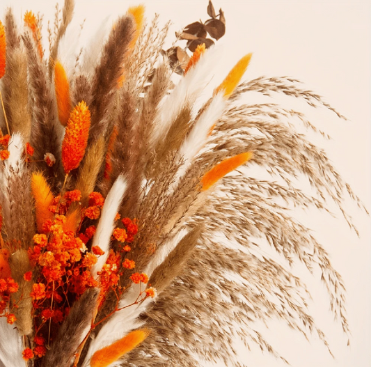 60 Pieces Bohemian Style Dried Flowers - Mixed Grass and Starry Sky for Weddings, Home Decor, Halloween, Concentrates, Valentine's Day, Birthdays, Graduation, Fall Decorations